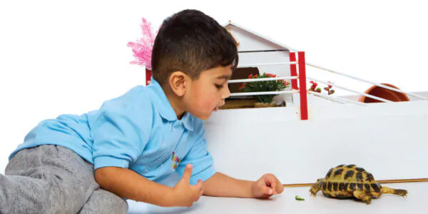 Child with turtle